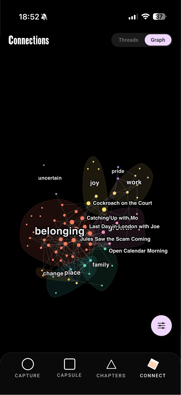 Brain graph screen